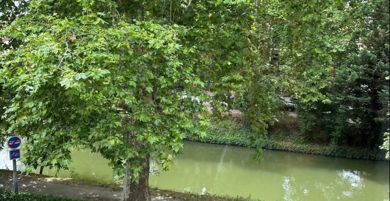 Appartement neuf Toulouse Jean Jaurès - Photo 6